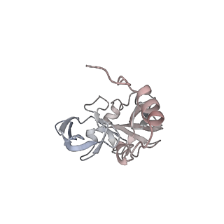 26259_7u0h_A_v1-2
State NE1 nucleolar 60S ribosome biogenesis intermediate - Overall model