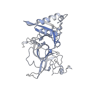 26259_7u0h_B_v1-2
State NE1 nucleolar 60S ribosome biogenesis intermediate - Overall model