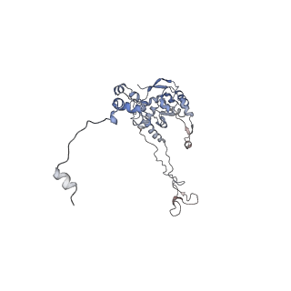 26259_7u0h_C_v1-2
State NE1 nucleolar 60S ribosome biogenesis intermediate - Overall model