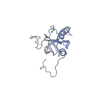26259_7u0h_E_v1-2
State NE1 nucleolar 60S ribosome biogenesis intermediate - Overall model