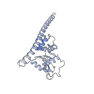 26259_7u0h_F_v1-2
State NE1 nucleolar 60S ribosome biogenesis intermediate - Overall model