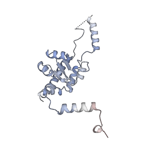 26259_7u0h_G_v1-2
State NE1 nucleolar 60S ribosome biogenesis intermediate - Overall model