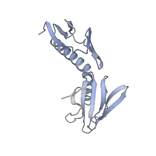 26259_7u0h_H_v1-2
State NE1 nucleolar 60S ribosome biogenesis intermediate - Overall model