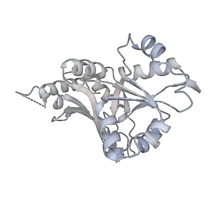 26259_7u0h_K_v1-2
State NE1 nucleolar 60S ribosome biogenesis intermediate - Overall model
