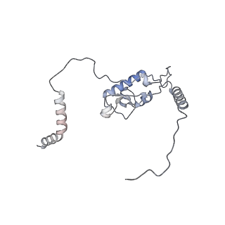 26259_7u0h_L_v1-2
State NE1 nucleolar 60S ribosome biogenesis intermediate - Overall model