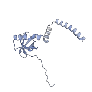 26259_7u0h_M_v1-2
State NE1 nucleolar 60S ribosome biogenesis intermediate - Overall model