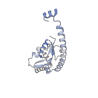 26259_7u0h_O_v1-2
State NE1 nucleolar 60S ribosome biogenesis intermediate - Overall model