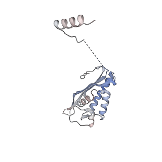 26259_7u0h_P_v1-2
State NE1 nucleolar 60S ribosome biogenesis intermediate - Overall model