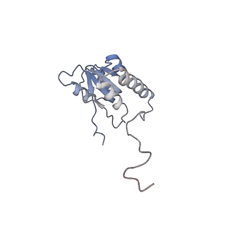 26259_7u0h_Q_v1-2
State NE1 nucleolar 60S ribosome biogenesis intermediate - Overall model