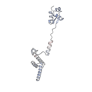 26259_7u0h_R_v1-2
State NE1 nucleolar 60S ribosome biogenesis intermediate - Overall model