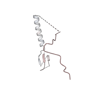 26259_7u0h_T_v1-2
State NE1 nucleolar 60S ribosome biogenesis intermediate - Overall model