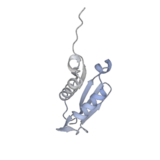 26259_7u0h_U_v1-2
State NE1 nucleolar 60S ribosome biogenesis intermediate - Overall model