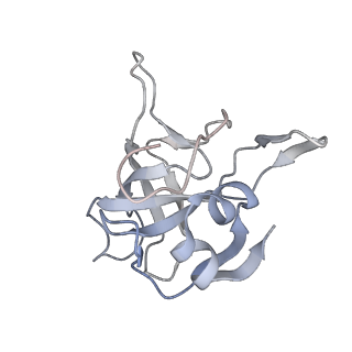 26259_7u0h_V_v1-2
State NE1 nucleolar 60S ribosome biogenesis intermediate - Overall model