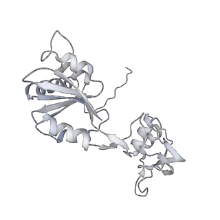 26259_7u0h_W_v1-2
State NE1 nucleolar 60S ribosome biogenesis intermediate - Overall model
