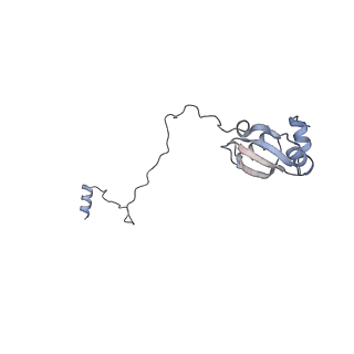 26259_7u0h_X_v1-2
State NE1 nucleolar 60S ribosome biogenesis intermediate - Overall model