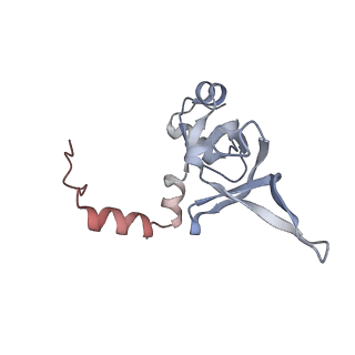 26259_7u0h_Y_v1-2
State NE1 nucleolar 60S ribosome biogenesis intermediate - Overall model