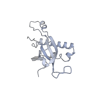 26259_7u0h_Z_v1-2
State NE1 nucleolar 60S ribosome biogenesis intermediate - Overall model