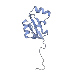 26259_7u0h_a_v1-2
State NE1 nucleolar 60S ribosome biogenesis intermediate - Overall model