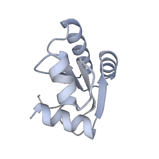 26259_7u0h_c_v1-2
State NE1 nucleolar 60S ribosome biogenesis intermediate - Overall model