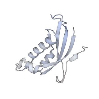 26259_7u0h_d_v1-2
State NE1 nucleolar 60S ribosome biogenesis intermediate - Overall model