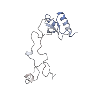 26259_7u0h_e_v1-2
State NE1 nucleolar 60S ribosome biogenesis intermediate - Overall model