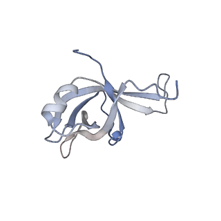 26259_7u0h_f_v1-2
State NE1 nucleolar 60S ribosome biogenesis intermediate - Overall model