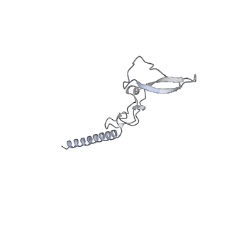 26259_7u0h_g_v1-2
State NE1 nucleolar 60S ribosome biogenesis intermediate - Overall model