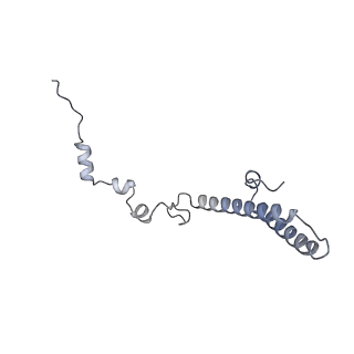26259_7u0h_h_v1-2
State NE1 nucleolar 60S ribosome biogenesis intermediate - Overall model