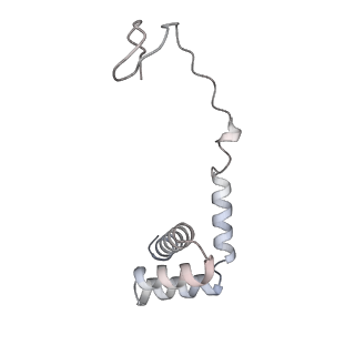 26259_7u0h_i_v1-2
State NE1 nucleolar 60S ribosome biogenesis intermediate - Overall model