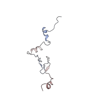 26259_7u0h_j_v1-2
State NE1 nucleolar 60S ribosome biogenesis intermediate - Overall model