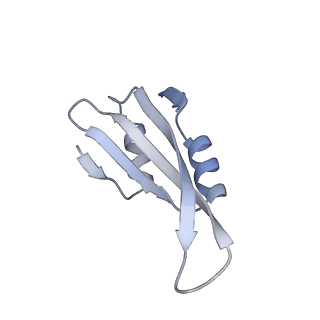 26259_7u0h_k_v1-2
State NE1 nucleolar 60S ribosome biogenesis intermediate - Overall model