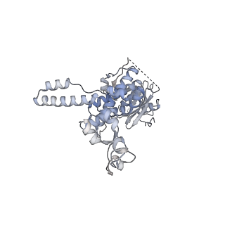 26259_7u0h_n_v1-2
State NE1 nucleolar 60S ribosome biogenesis intermediate - Overall model
