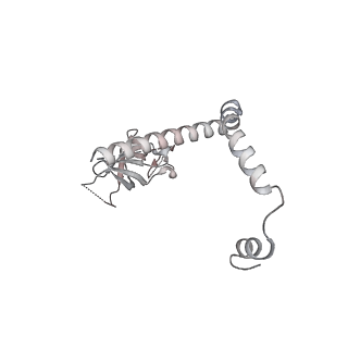 26259_7u0h_r_v1-2
State NE1 nucleolar 60S ribosome biogenesis intermediate - Overall model
