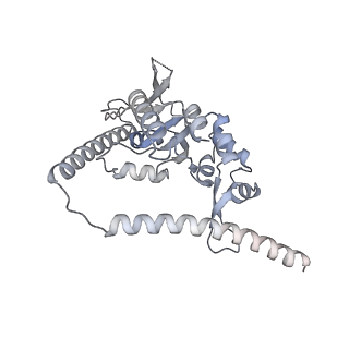 26259_7u0h_t_v1-2
State NE1 nucleolar 60S ribosome biogenesis intermediate - Overall model