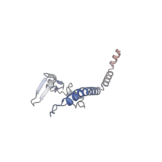 26259_7u0h_u_v1-2
State NE1 nucleolar 60S ribosome biogenesis intermediate - Overall model