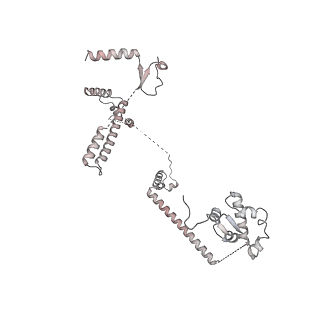 26259_7u0h_w_v1-2
State NE1 nucleolar 60S ribosome biogenesis intermediate - Overall model
