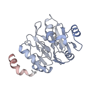 26259_7u0h_y_v1-2
State NE1 nucleolar 60S ribosome biogenesis intermediate - Overall model