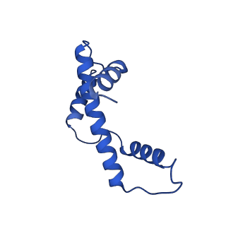 26260_7u0i_A_v1-0
Structure of LIN28b nucleosome bound 2 OCT4