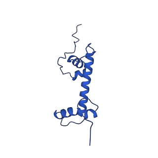 26260_7u0i_C_v1-0
Structure of LIN28b nucleosome bound 2 OCT4