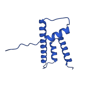 26260_7u0i_D_v1-0
Structure of LIN28b nucleosome bound 2 OCT4