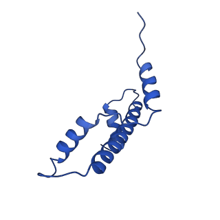 26260_7u0i_E_v1-0
Structure of LIN28b nucleosome bound 2 OCT4