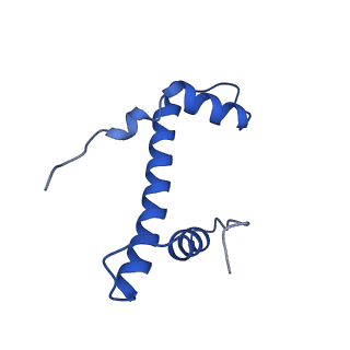 26260_7u0i_F_v1-0
Structure of LIN28b nucleosome bound 2 OCT4