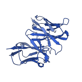 26260_7u0i_K_v1-0
Structure of LIN28b nucleosome bound 2 OCT4