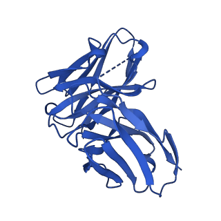 26260_7u0i_N_v1-0
Structure of LIN28b nucleosome bound 2 OCT4