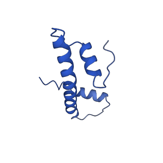 26261_7u0j_B_v1-0
Structure of 162bp LIN28b nucleosome