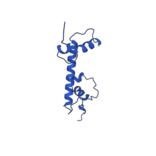 26261_7u0j_C_v1-0
Structure of 162bp LIN28b nucleosome