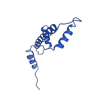 26261_7u0j_E_v1-0
Structure of 162bp LIN28b nucleosome