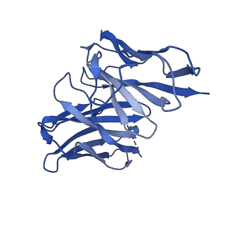 26261_7u0j_K_v1-0
Structure of 162bp LIN28b nucleosome