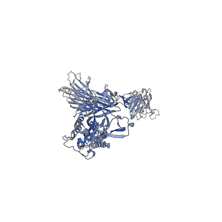26263_7u0q_A_v1-1
SARS-Cov2 S protein structure in complex with neutralizing monoclonal antibody 002-02
