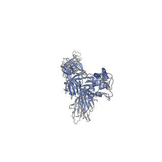 26263_7u0q_C_v1-1
SARS-Cov2 S protein structure in complex with neutralizing monoclonal antibody 002-02